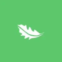 Saleads.pro Logo